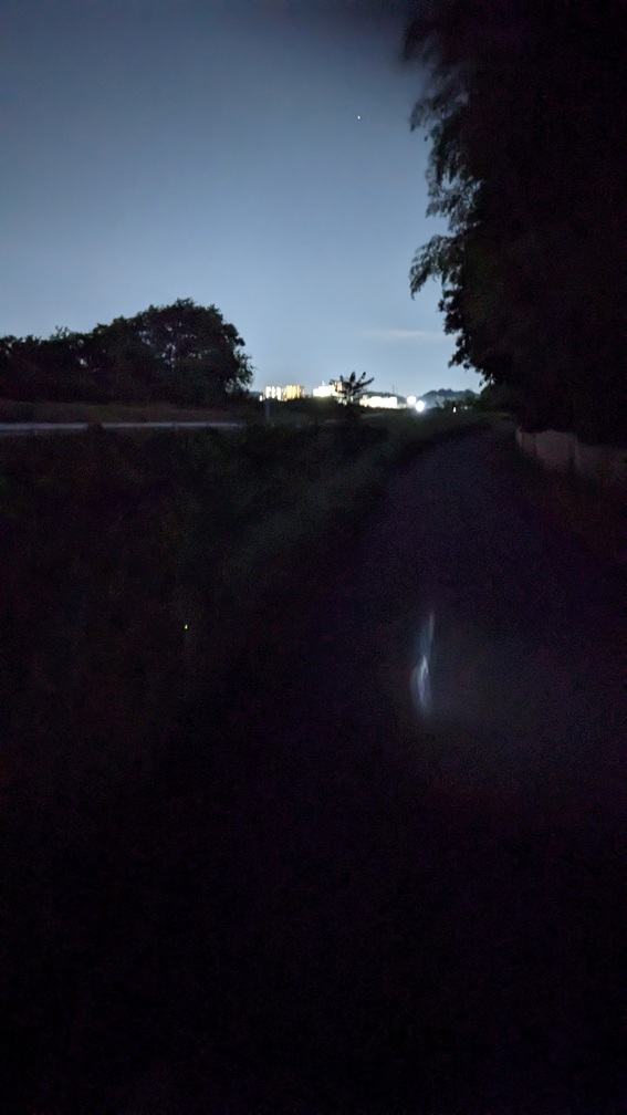 今年もやってまいりました
